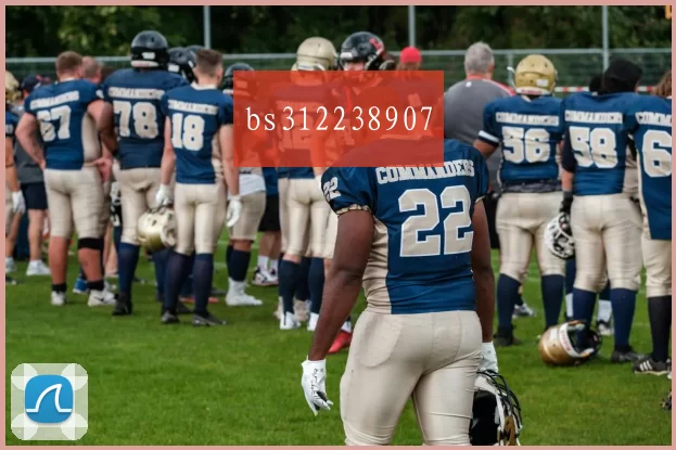 bs312238907
