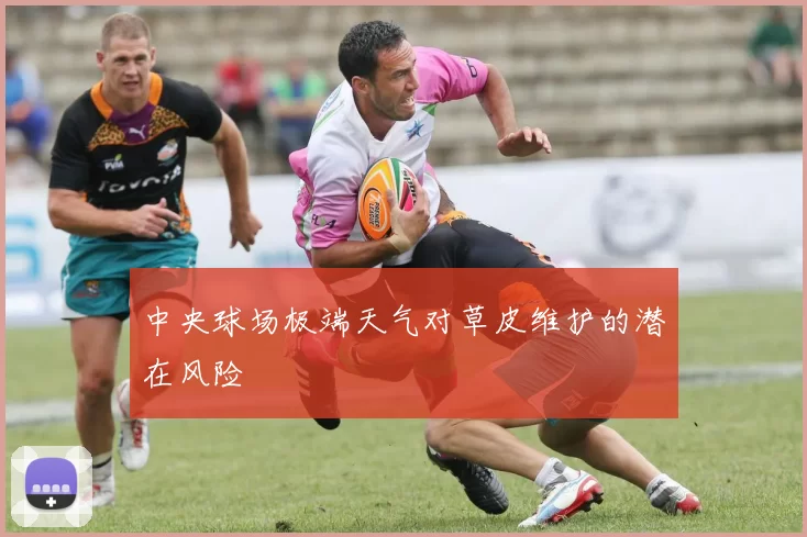 中央球场极端天气对草皮维护的潜在风险