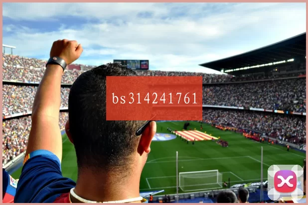 bs314241761