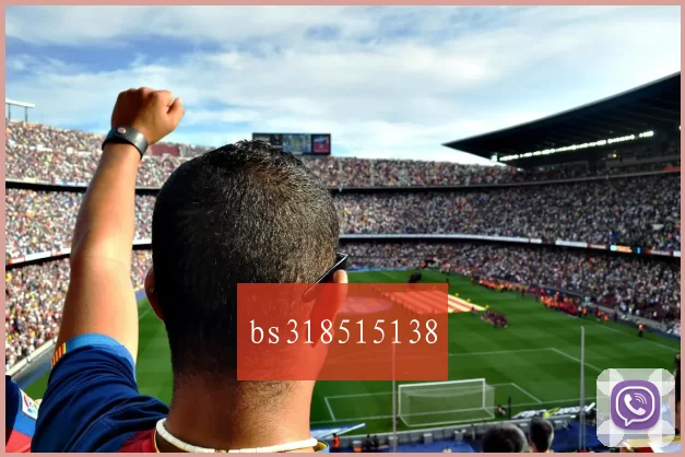 bs318515138