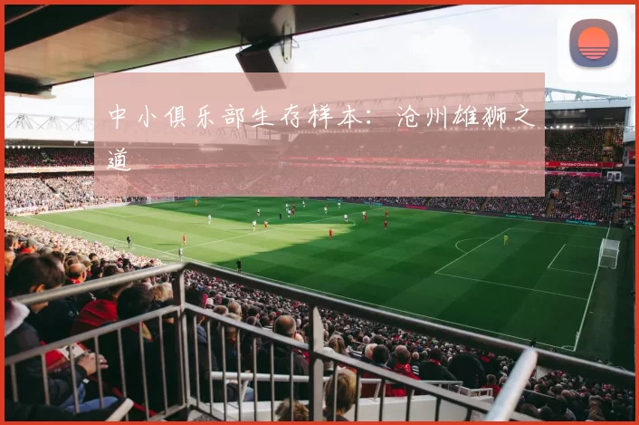 中小俱乐部生存样本：沧州雄狮之道